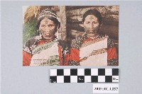藏品(賽德克族道澤群婦女)的圖片