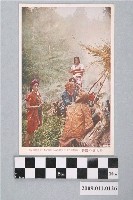 藏品(布農族丹社群的野營)的圖片