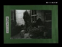 主要名稱：綠珊瑚盦前庭園(影本)圖檔，第1張，共1張