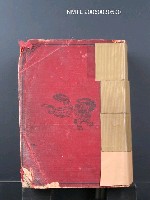 主要名稱：最新支那語大辭典圖檔，第1張，共1張