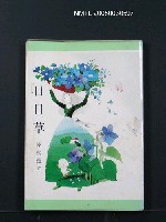 主要名稱：日日草圖檔，第1張，共1張