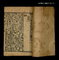 主要名稱：活法大成 卷11圖檔，第2張，共2張