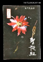 主要名稱：聖誕紅圖檔，第1張，共1張