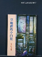主要名稱：墓地裡的小白花圖檔，第1張，共1張