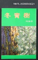 主要名稱：冬青樹圖檔，第1張，共1張