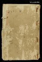 主要名稱：一枝春圖檔，第1張，共2張