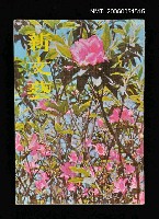 主要名稱：新文藝 145期 4月號/副題名：新文藝圖檔，第1張，共1張