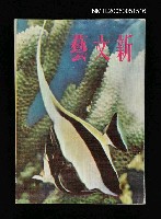 主要名稱：新文藝 146期 5月號/副題名：新文藝圖檔，第1張，共1張