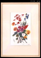 主要名稱：彩色花卉畫圖檔，第1張，共1張