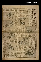 主要標題：二十四番花信風圖檔，第1張，共1張