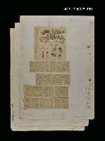主要標題：夜市及蛇圖檔，第1張，共1張