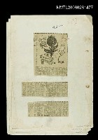 主要標題：手中的鬰金香圖檔，第1張，共1張