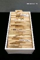 主要名稱：許成章音譯卡圖檔，第2張，共3張