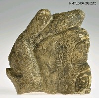 主要名稱：大地之母圖檔，第2張，共2張