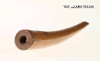 主要名稱：日月潭紀念竹管煙斗圖檔，第6張，共7張
