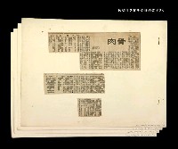 主要標題：「我飛」等篇剪輯：骨肉圖檔，第1張，共1張
