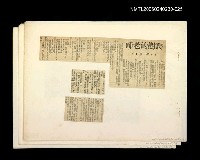 主要標題：「我飛」等篇剪輯：爬樹的老師圖檔，第1張，共1張