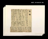 主要標題：「我飛」等篇剪輯：髮絲圖檔，第1張，共1張