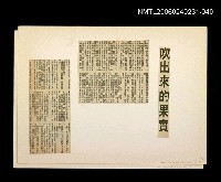 主要標題：「奔雨」等篇剪輯：吹出來的果實圖檔，第1張，共1張