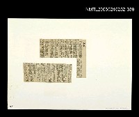 主要標題：「燈下的沉思」等篇剪輯：胎兒圖檔，第1張，共1張