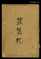 主要名稱：韮菜花圖檔，第1張，共1張