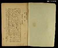 主要名稱：桃李爭春圖檔，第2張，共2張