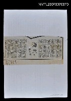 主要標題：海芋/報紙名稱：台灣副刊圖檔，第1張，共1張