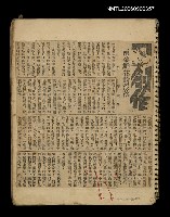主要標題：「兩朵鮮花的沒落」等圖檔，第1張，共1張