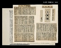 主要標題：七葉蓮/報紙名稱：臺灣時報圖檔，第1張，共1張