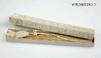 主要名稱：扇圖檔，第2張，共2張