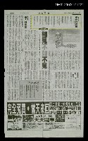 主要標題：白楊樹與大王椰/報紙名稱：中國時報圖檔，第1張，共1張