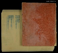 主要名稱：第一詩集《群燕》圖檔，第46張，共49張