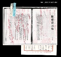 主要名稱：鵝媽媽出嫁 (中外文學版中文校訂稿 )圖檔，第1張，共1張