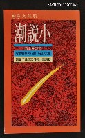 主要名稱：小說潮/副題名：聯合報第十三屆小說奬暨附設新詩奬、報導文學獎作品集/其他-：聯經文學105圖檔，第1張，共1張