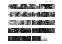 主要名稱：蕭白底片6圖檔，第1張，共1張