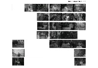 主要名稱：蕭白底片7圖檔，第1張，共1張