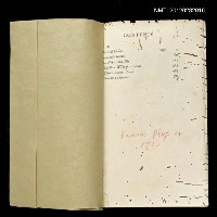 主要名稱：FAMOUS PLAGS OF 1932圖檔，第1張，共1張