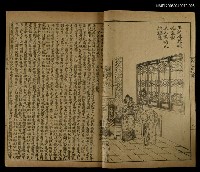 主要名稱：金玉緣(寅)圖檔，第2張，共2張