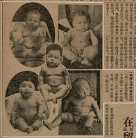 報紙名稱：臺灣新民報 791號圖檔，第35張，共162張