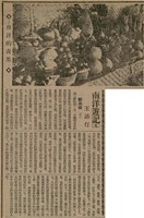 報紙名稱：臺灣新民報 807號（1933-05-21）圖檔，第71張，共170張