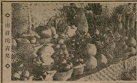 報紙名稱：臺灣新民報 807號（1933-05-21）圖檔，第72張，共170張