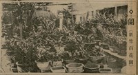 報紙名稱：臺灣新民報 808號（1933-05-22）圖檔，第123張，共129張