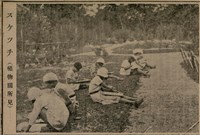 報紙名稱：臺灣新民報 811號圖檔，第144張，共194張