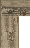 報紙名稱：臺灣新民報 811號圖檔，第179張，共194張