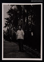 主要名稱：文曉村獨照（戶外，椰子林道旁）圖檔，第1張，共1張