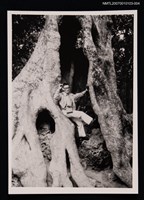 主要名稱：商略獨照（站於樹幹之中）（翻拍照）圖檔，第1張，共1張