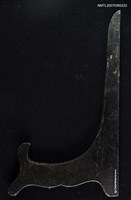 主要名稱：才華橫溢（獎牌）圖檔，第4張，共4張