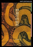 主要名稱：野薑花的秘密圖檔，第1張，共1張