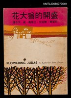 主要名稱：盛開的猶大花圖檔，第1張，共1張