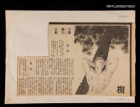 主要標題：樹/報紙名稱：自由日報 晨鐘版圖檔，第1張，共1張